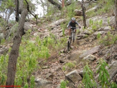 20070114-Coba 343 